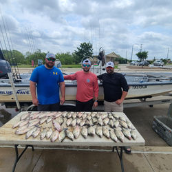Lake Lewisville guided white bass fishing