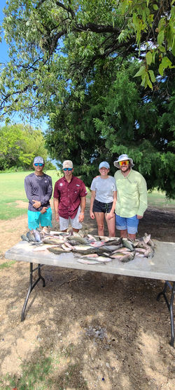 Lake Lewisville guided white bass fishing.