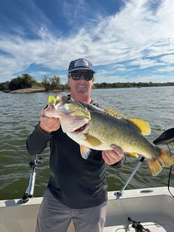 Lake Lewisville largemouth bass fishing.
