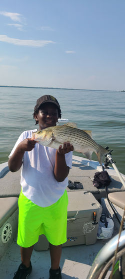 Lake Lewisville guided hybrid striper fishing.