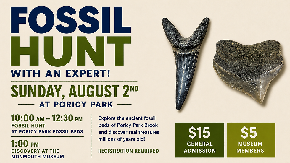 Fossil Hunt at Poricy Park in Middletown