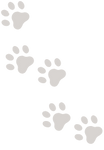 猫の肉球　イラスト