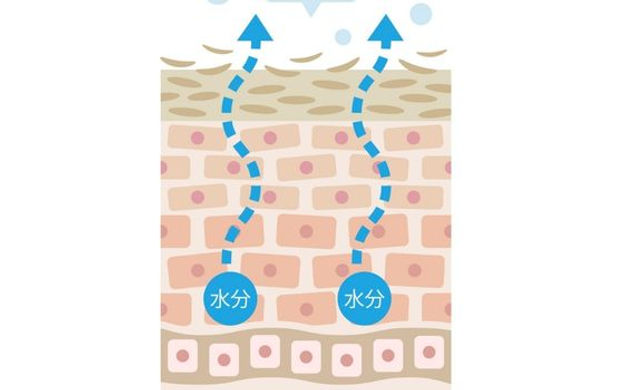 「肌の内部のうるおいも一緒に蒸発するから」.jpg