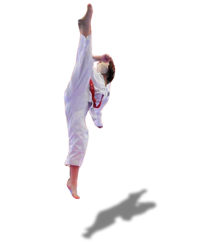 スペシャルテクニック