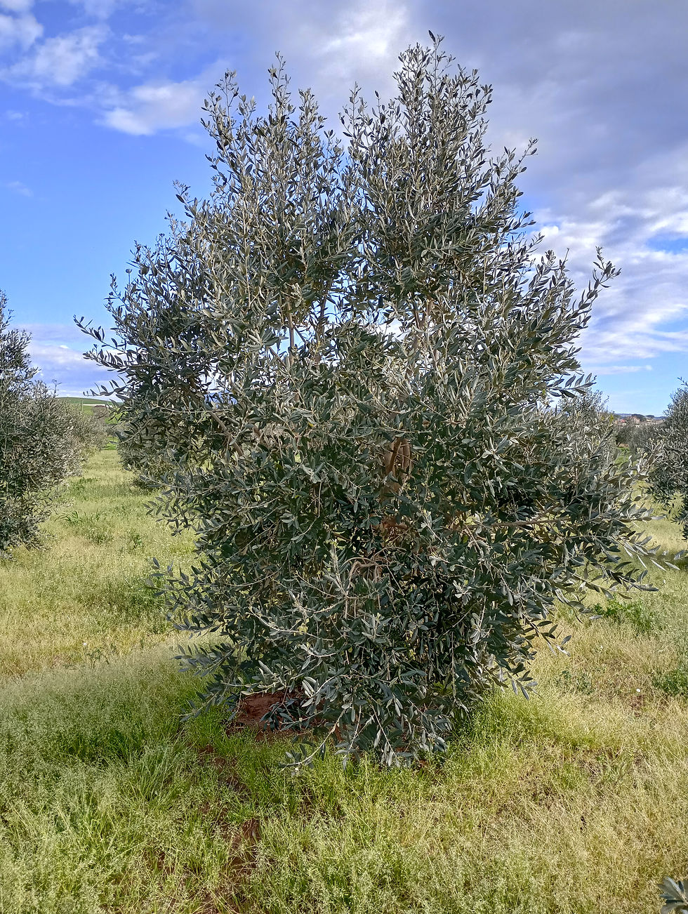 IMG_20240313_161117_HDR