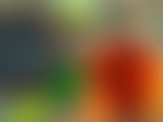 Tisana Energizzante & Dimagrante