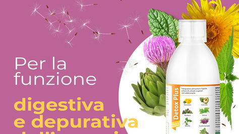 Detox Plus