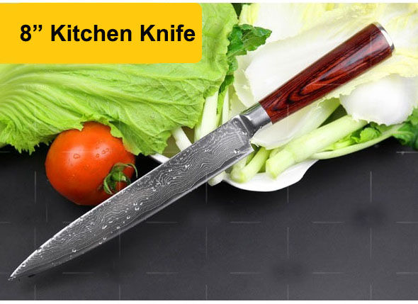 D6- Damascus Knife