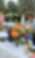 Screen Shot 2024-10-29 at 8.44.08 PM.png