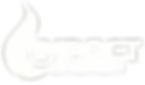 ic logo white.png