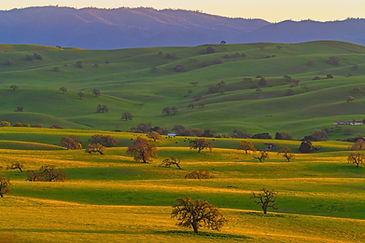golden hour land.jpg