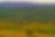 golden hour land.jpg