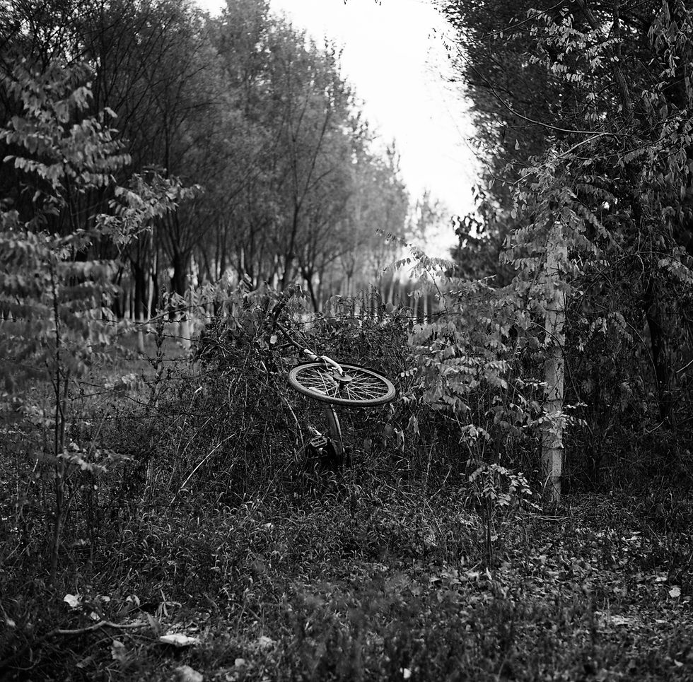 Dont forget me 2.jpg