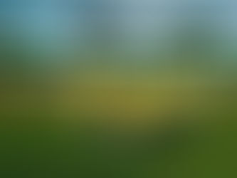 BSS LFA Joining Danone Cup 2018