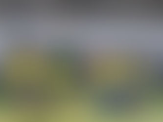 Kenapa Tak Perlu Berhenti Berolahraga Saat Puasa?