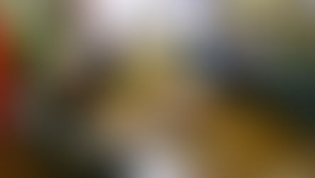 ONG Cirandar e Redes de Leitua realizam encontro de Formação em Mediação de Leitura e Expressão Voca