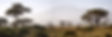 AdobeStock_30142776.jpeg