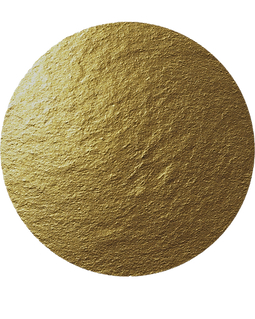 gouden cirkel zonder achtergrond_edited_