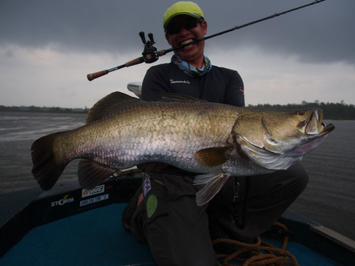 LateBloomings56 Zinia | TRANSCENDENCE