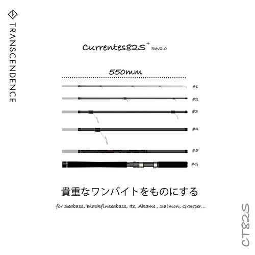 Currentes82/98S｜カレンテス82S+ | TRANSCENDENCE
