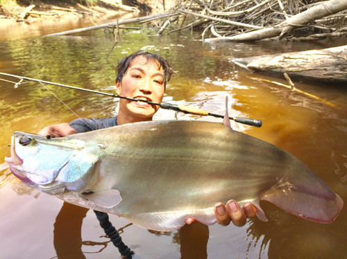 Botia60S/76S Rev.2｜ボティア60S+ Rev.2 | TRANSCENDENCE