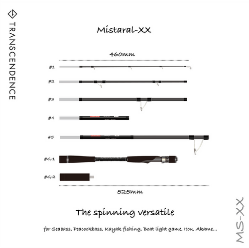 Mistral-XX｜ミストラルXX | TRANSCENDENCE