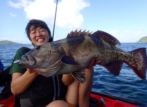 Currentes82/98S｜カレンテス82S+ Currentes82/98S｜カレンテス82S+ | TRANSCENDENCE