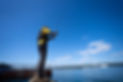 LINE_ALBUM_バトゥータ_251212_572.jpg