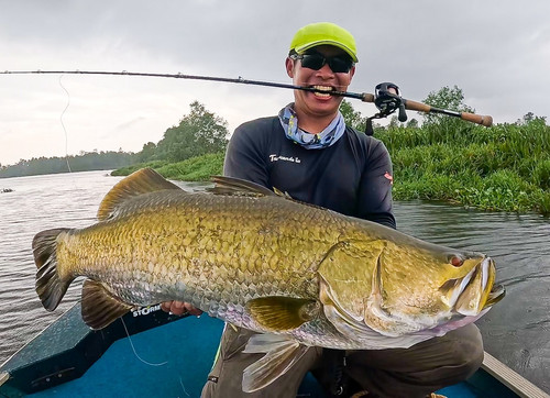 LateBloomings56 Zinia | TRANSCENDENCE