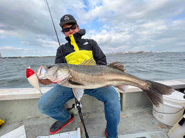 Enhance65B+｜エンハンス65B+