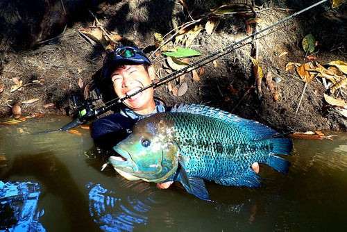 LateBloomings56 Zinia | TRANSCENDENCE