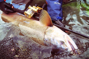 LateBloomings510｜レイトブルーミングス（レイブル）