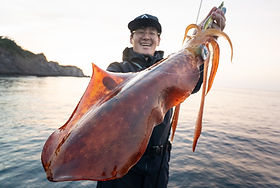 Batuta80S+｜バトゥータ80S+