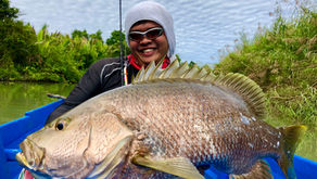 ChillシンカーW183 応用編