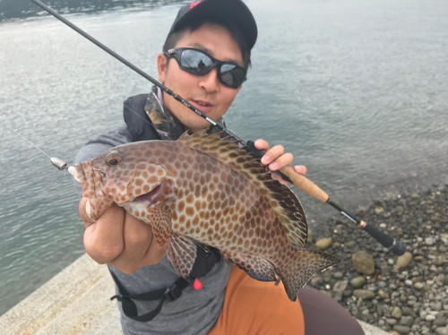 Botia60S/76S Rev.2｜ボティア60S+ Rev.2 | TRANSCENDENCE