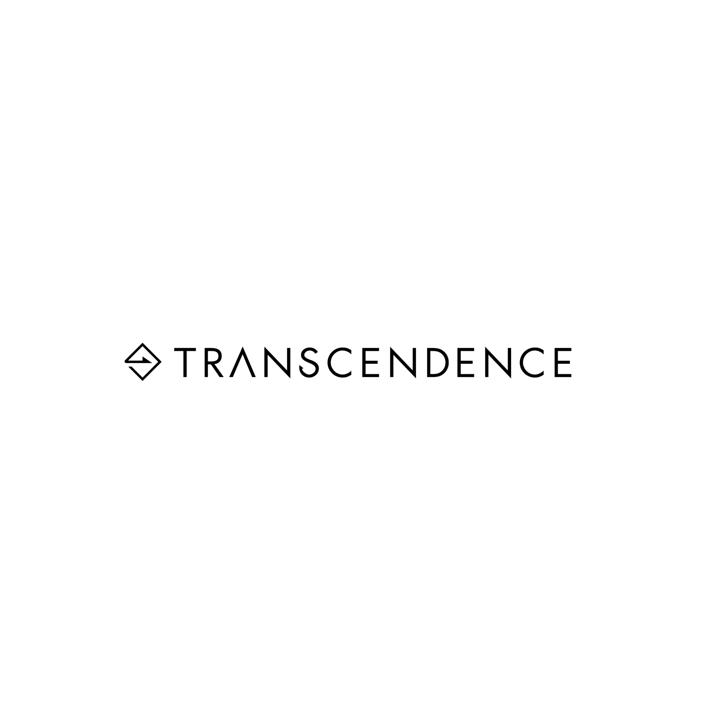 TRANSCENDENCE｜トランスセンデンス｜パックロッド