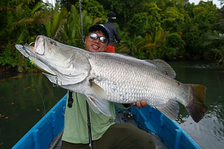 Enhance65B+｜エンハンス65B+