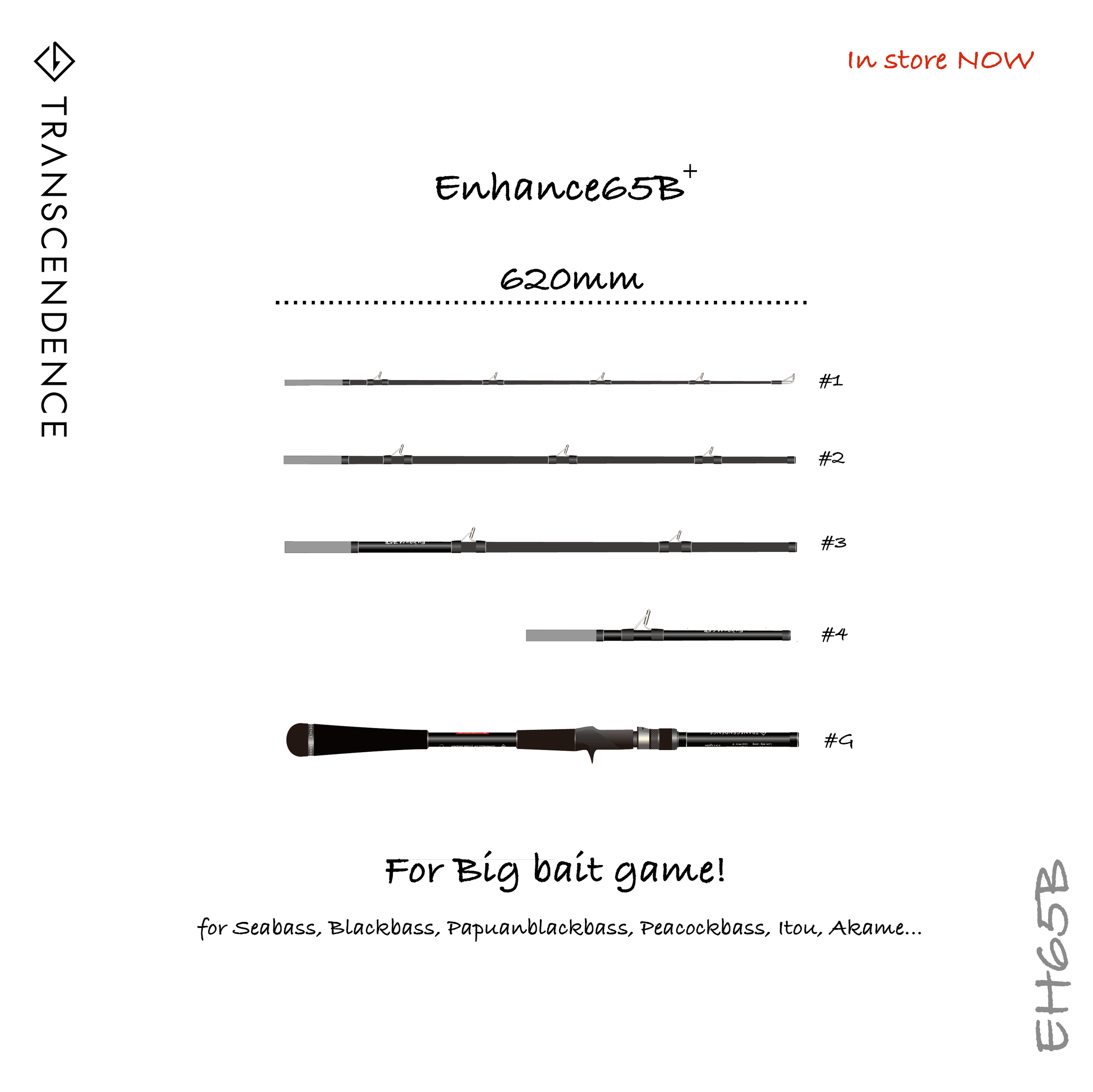 Enhance65B+ | TRANSCENDENCE