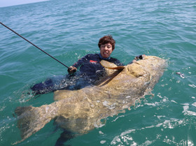 9 Th フロリダ Xstreamtours