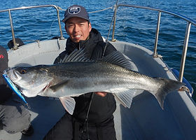 Mistral-XX | TRANSCENDENCE