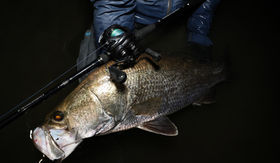 Trapa77B+ | TRANSCENDENCE