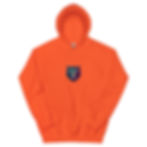Thumbnail: The Visionary Hoodie