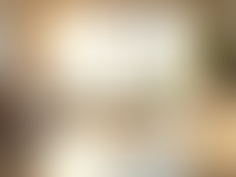 Kristi Klean: Premier Local Cleaning Services Edina