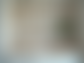 The Importance of Keeping Your Cupboards Clean