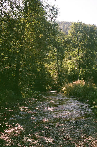 moovement-claire-perez-course-nature.jpg