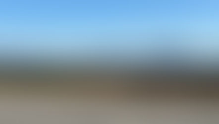 LIG넥스원 실증 연구