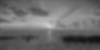 summer-retreat-15x30-BW