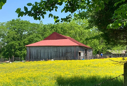 Blackacre barn from SS.PNG