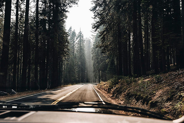Road Trip Yosemite