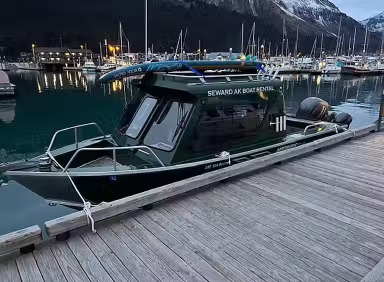 Sapphire boat rental